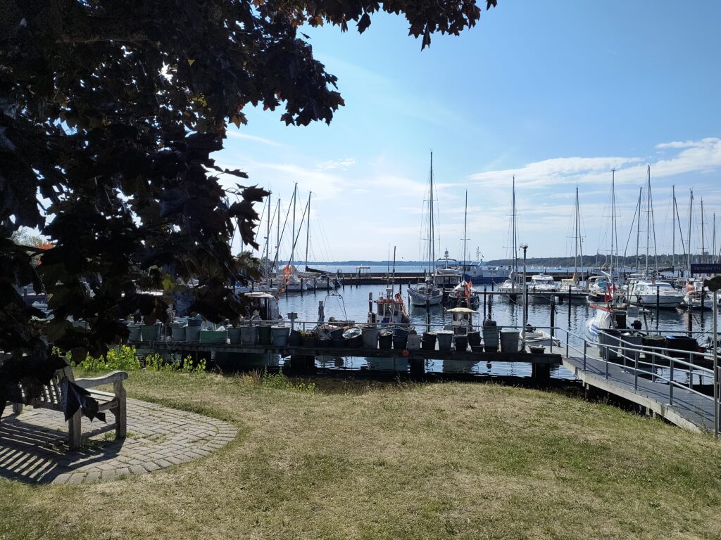 Blick auf die Ostsee 