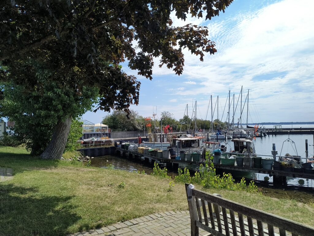wieder in Strande