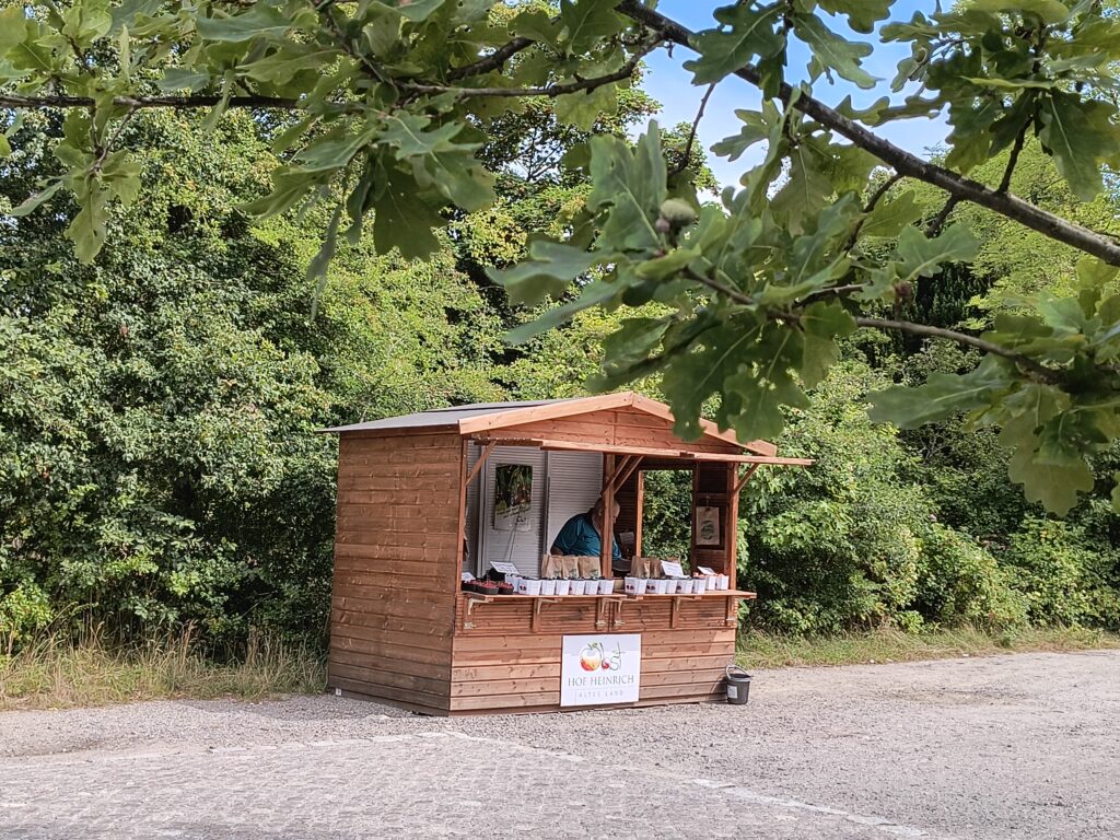 Kirschenstand am Grünen Jäger