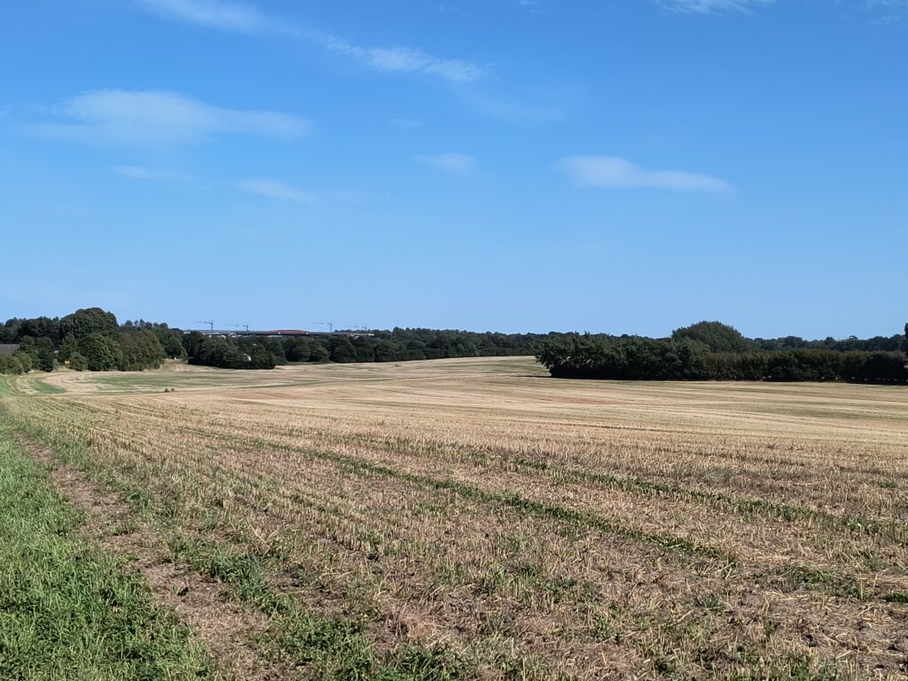 abgemähte Felder mit Blick auf Levensauer Hochbrücke
